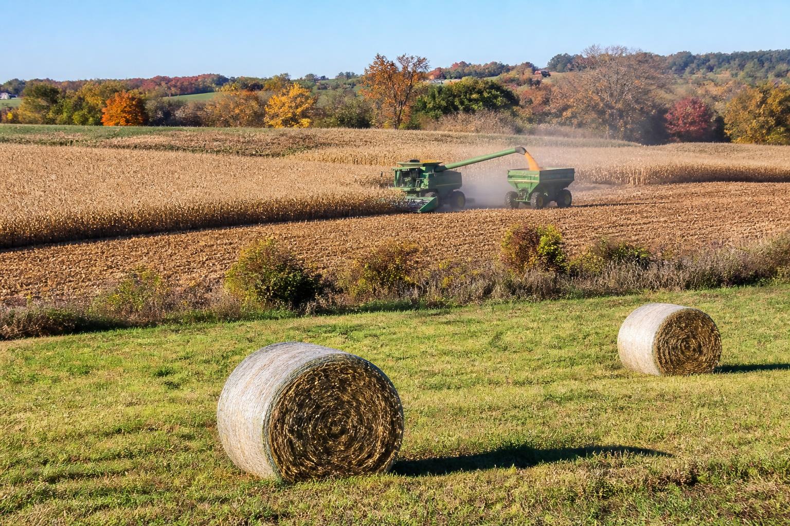 New York Harvest Logistics: Navigating Equipment Needs and Operational Efficiency - AgroPost