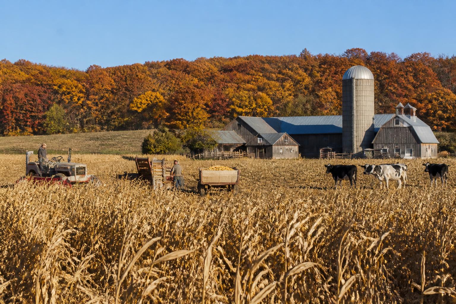 Utah Producers Navigate Evolving Regulatory and Resource Challenges this Fall - AgroPost