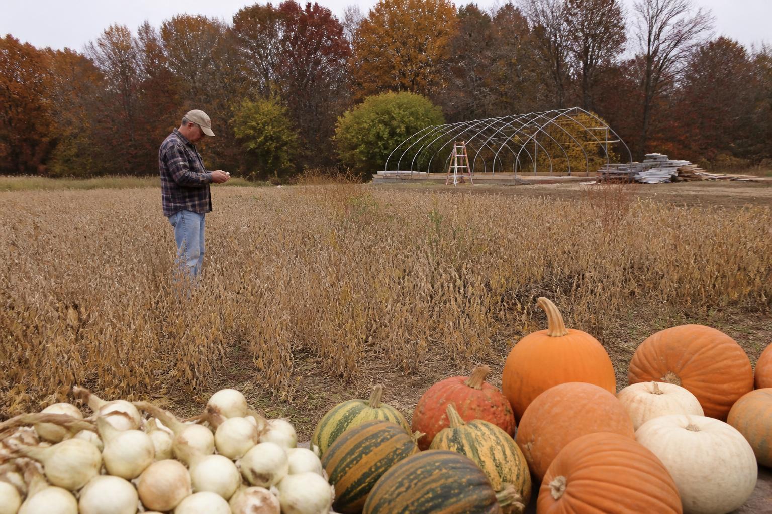 Georgia Producers Eye Greenhouse Expansion as Sector Diversification Grows - AgroPost