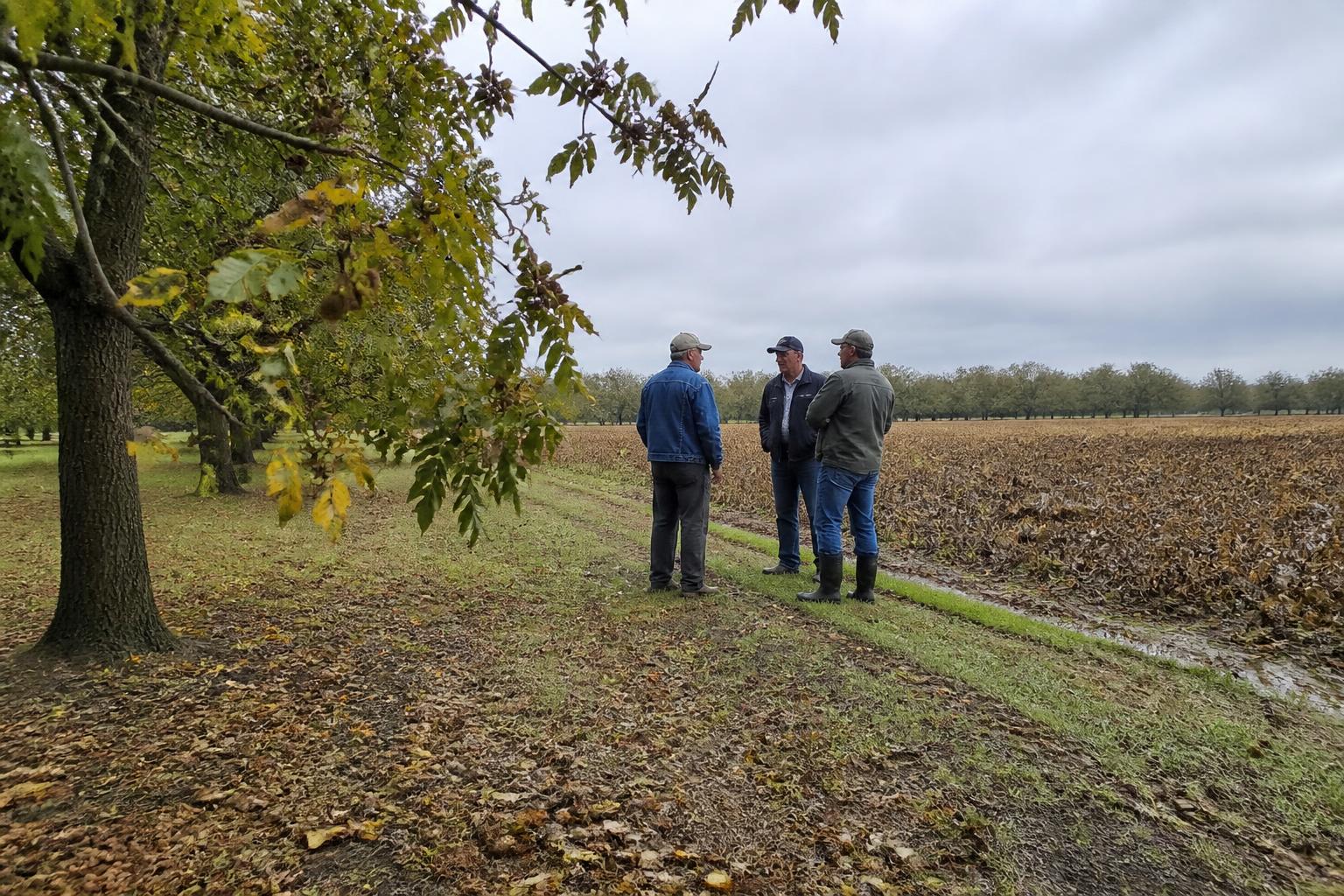 Mississippi Harvest Update: Evaluating Yield Risks and Logistics as Fall Sets In - AgroPost