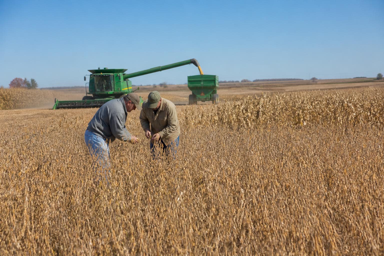 Fall Market Volatility and Operational Realities for Massachusetts Producers - AgroPost