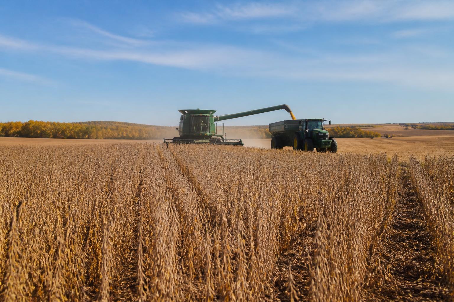 North Dakota Harvest Logistics: Managing Rail Delays and Rising Fuel Costs