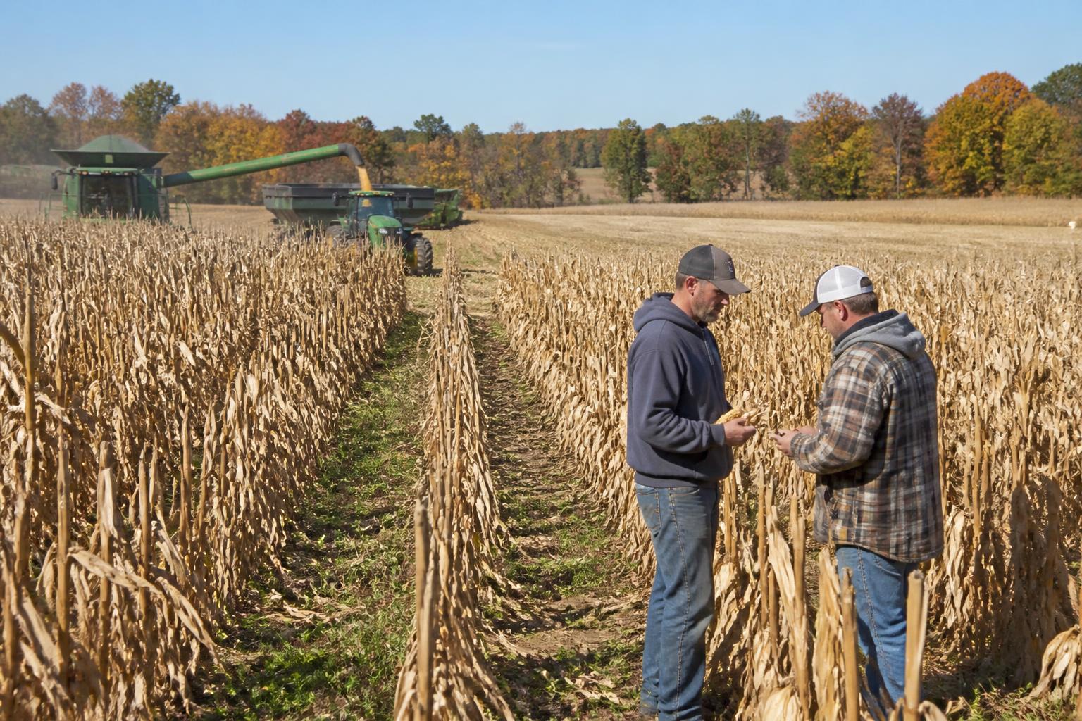 Navigating Ohio Fertilizer Market Pressures This Fall - AgroPost