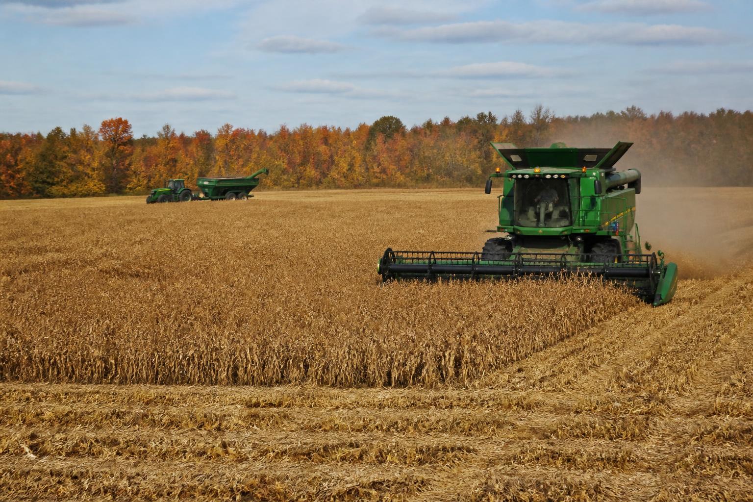 Minnesota Grain Infrastructure Sees Shifts as Harvest Momentum Builds - AgroPost