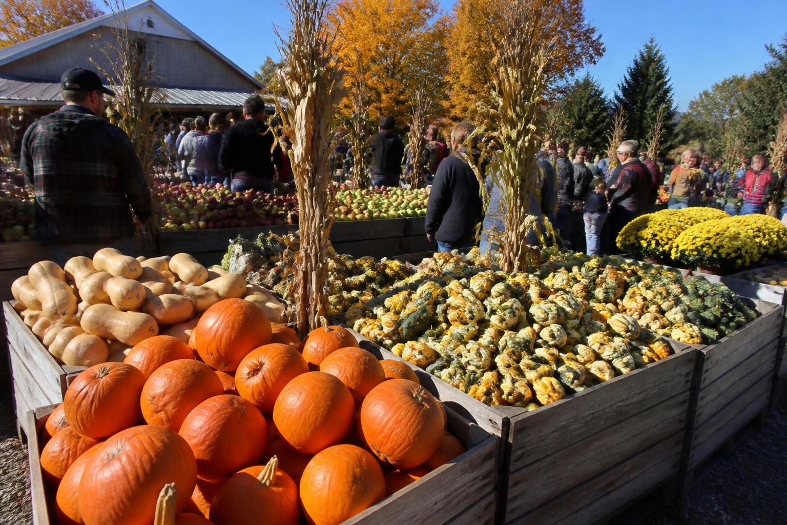 West Virginia Growers Focus on Resilience as Harvest Season Progresses - AgroPost