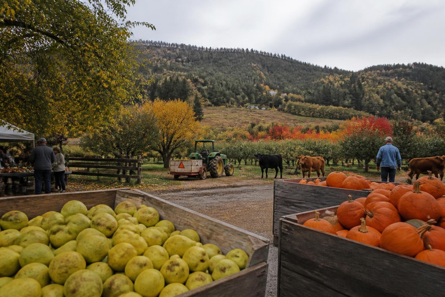 Oregon Fertilizer Oversight: What Producers Need to Know as Reporting Debates Continue - AgroPost