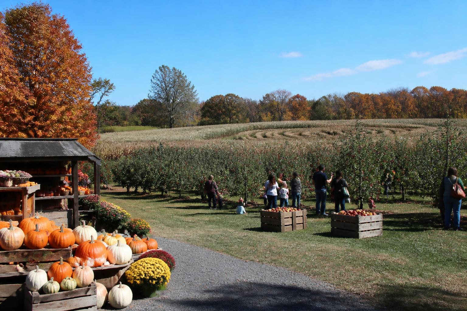 New Jersey Agribusiness Brief: Fall Harvest Shifts and Land Use Trends - AgroPost