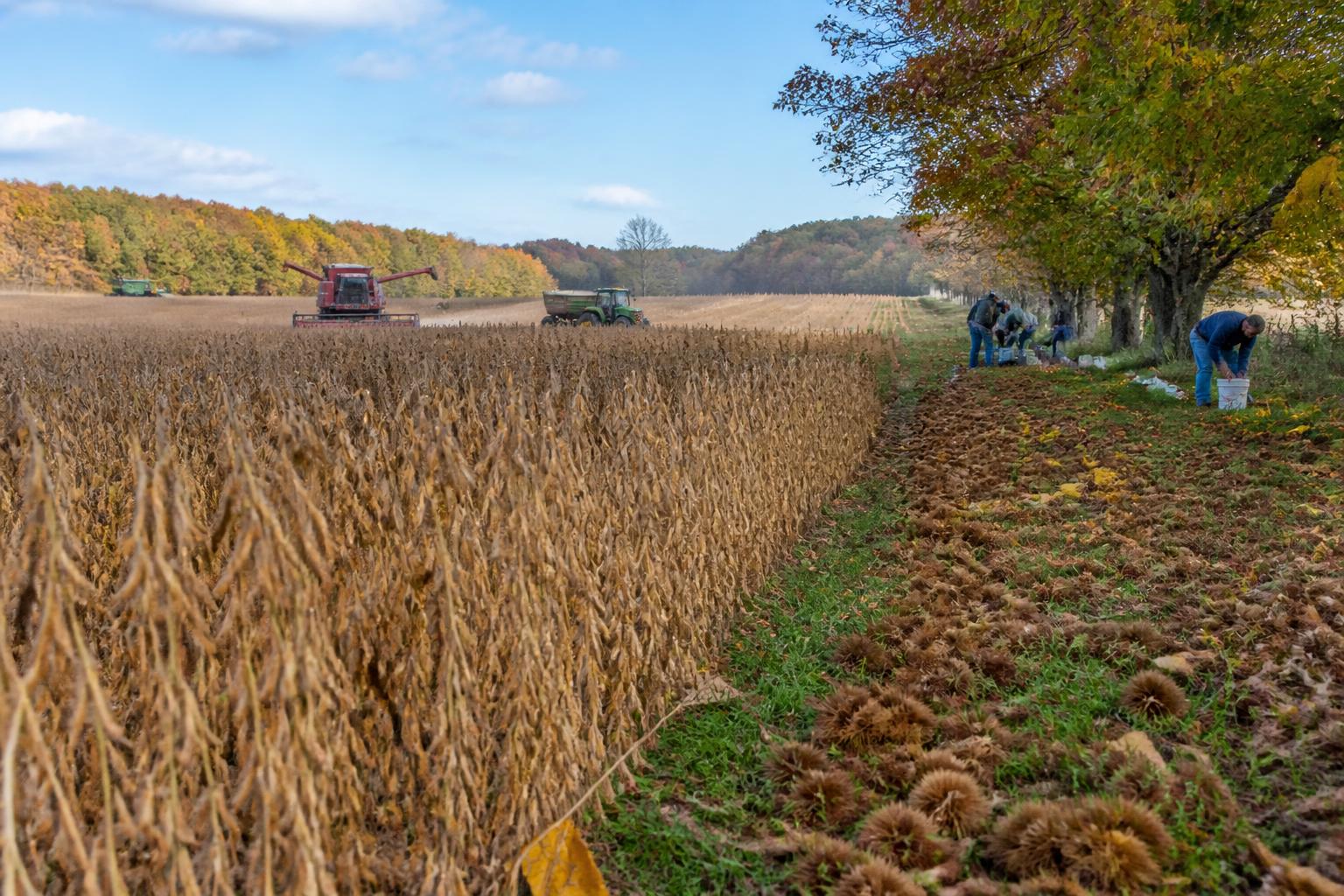 Logistics Hurdles Remain a Friction Point for Michigan Agriculture - AgroPost