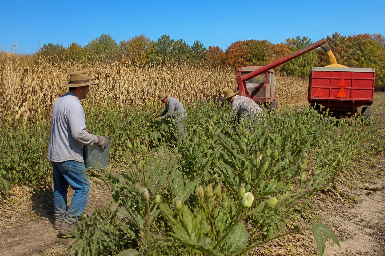 Florida Ag Logistics: Navigating Evolving Supply Chains as Harvest Season Accelerates - AgroPost