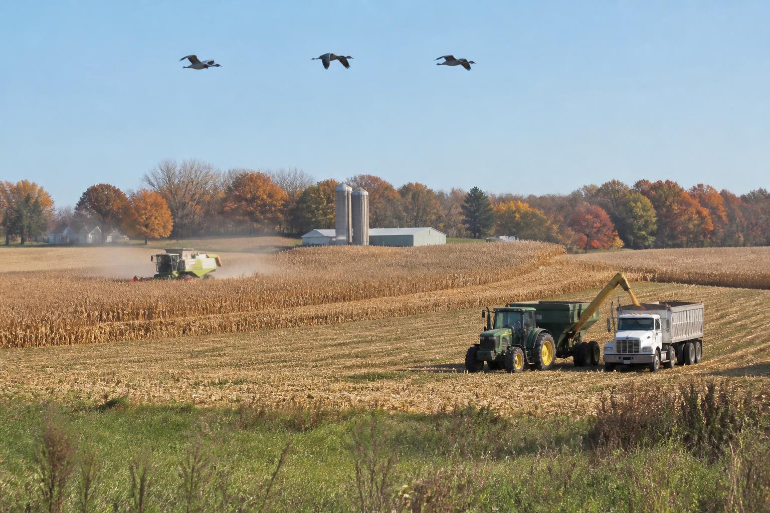 New Hampshire Growers Focus on Resilience Following Seasonal Volatility - AgroPost