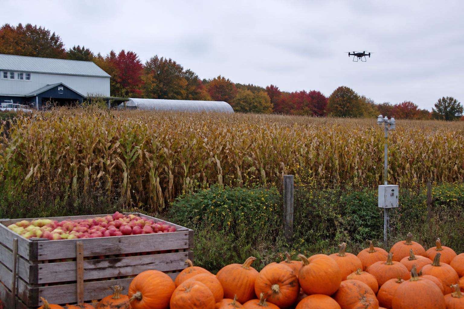 New York Agribusinesses Navigate New Support Measures and Supply Chain Trends - AgroPost