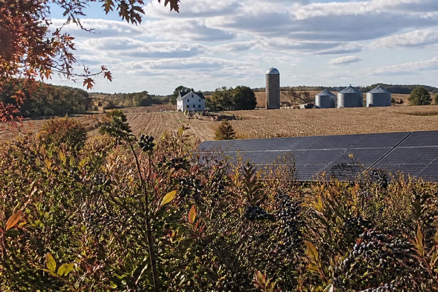 Fall Grain Storage Prep Crucial for Maine Producers - AgroPost