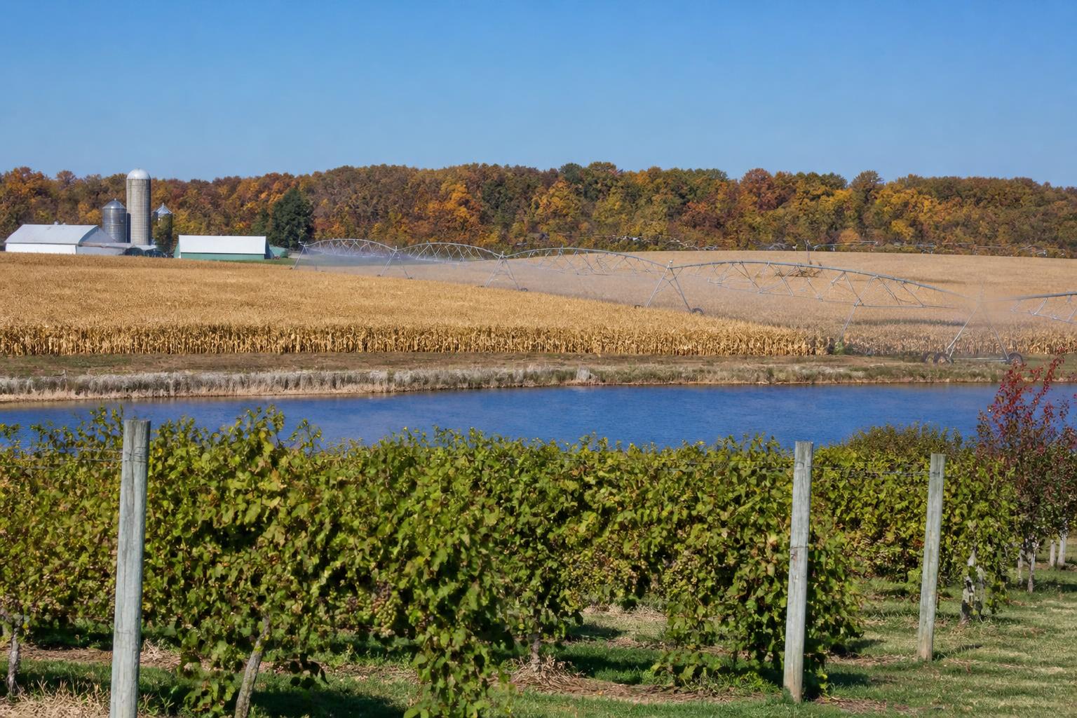 Missouri Harvest Outlook: Evaluating Field Conditions and Economic Pressures - AgroPost