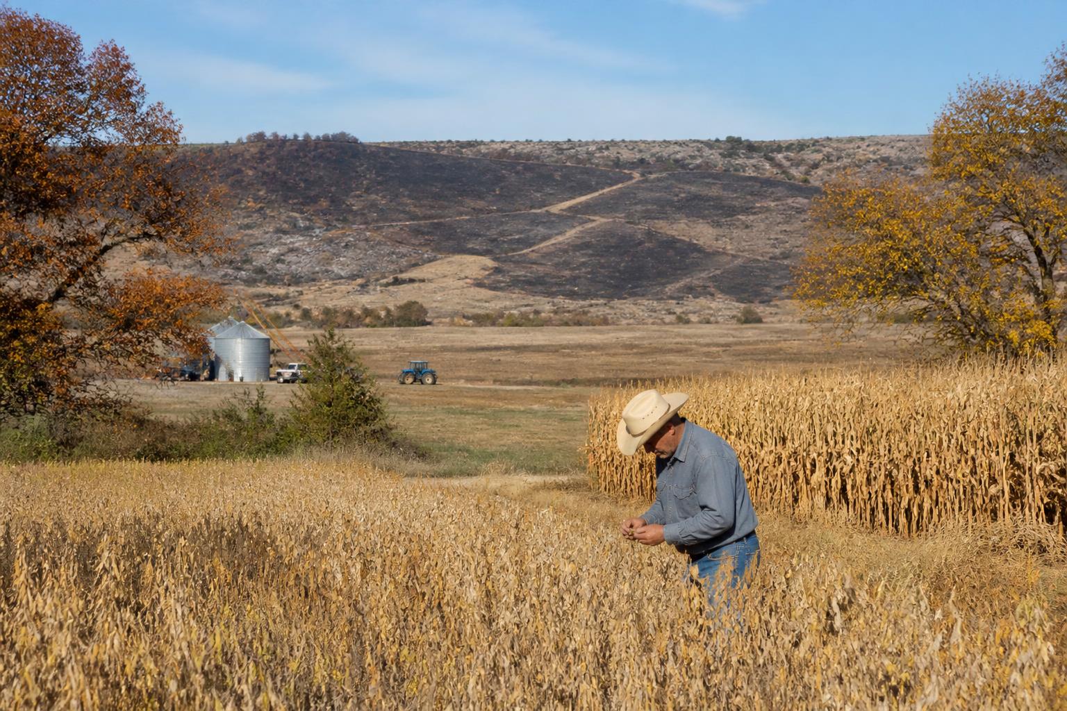 Texas Transport Update: Managing Seasonal Logistics and CDL Requirements - AgroPost