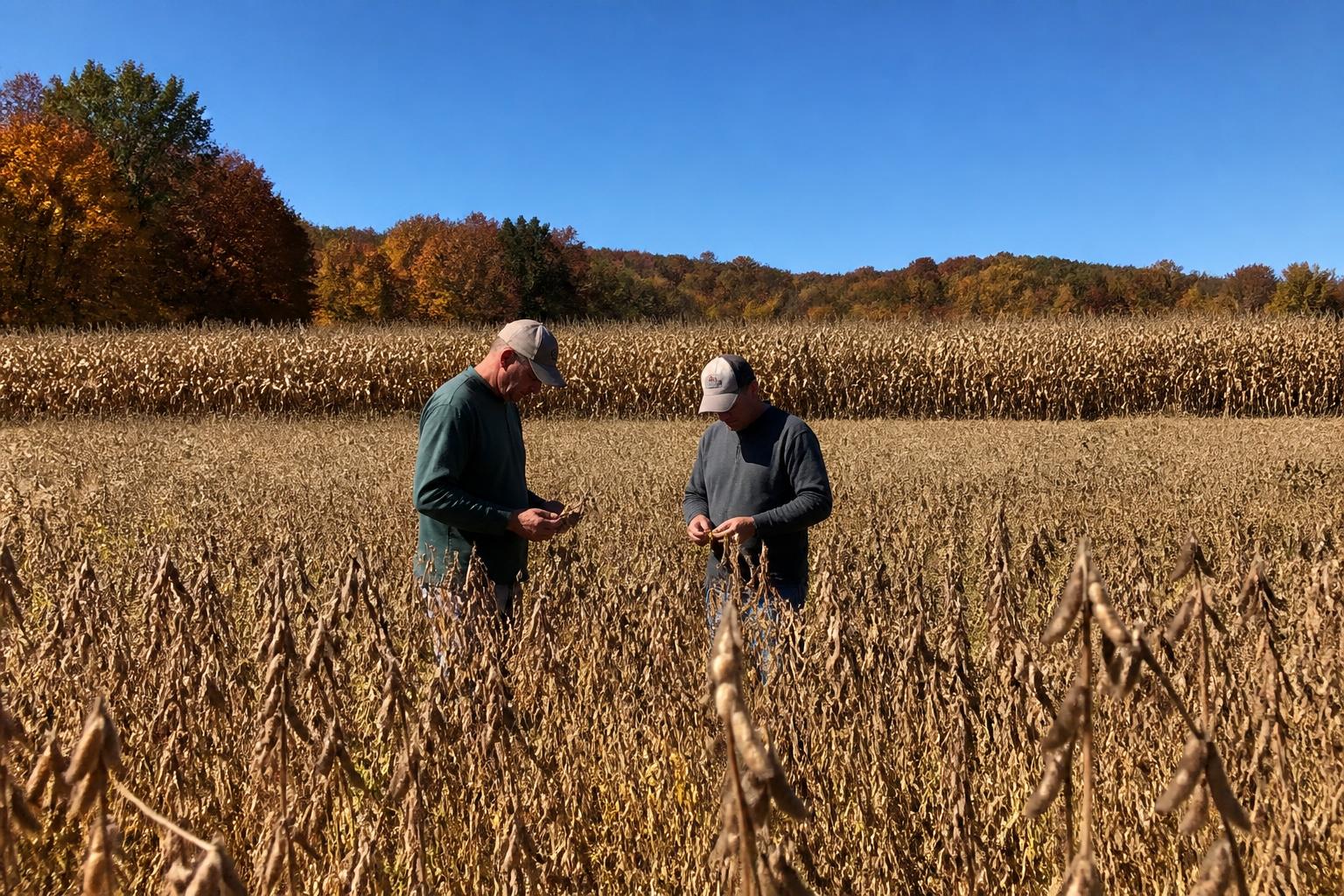 Kentucky Farmers Face Scrutiny as Oversight Tightens on Production Compliance - AgroPost