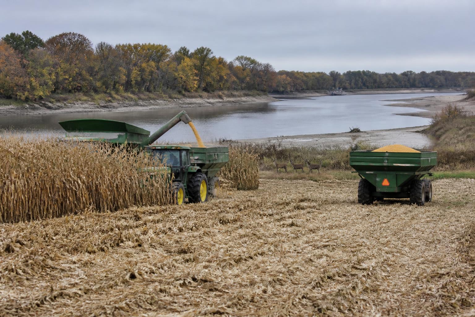 Managing Field Pressures: Protecting Mississippi Yields During Late-Season Harvest - AgroPost
