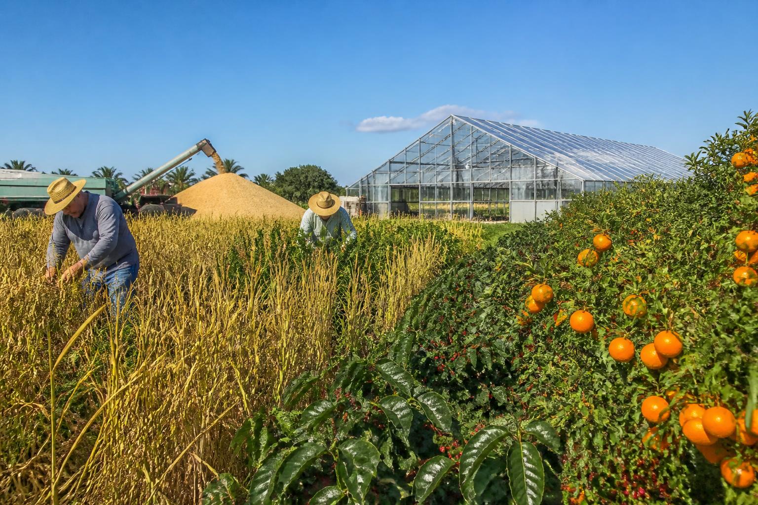 Florida Ag Outlook: Navigating Seasonal Shifts and Input Hurdles