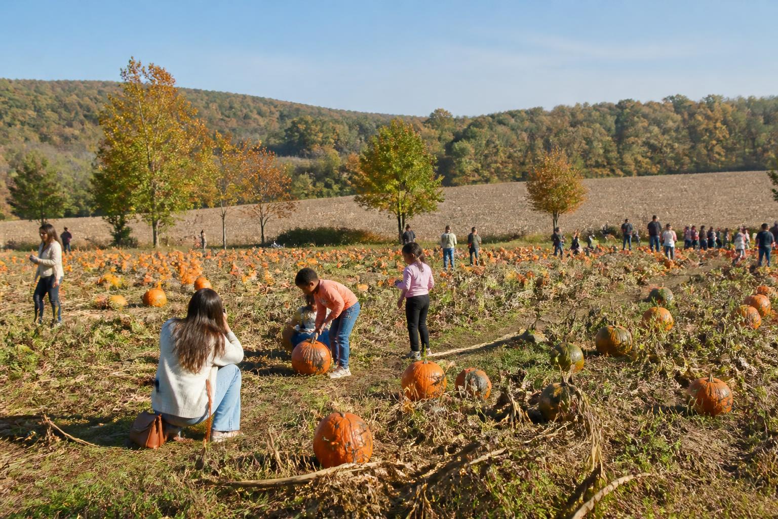 West Virginia Producers Face Growing Pests and Operational Hurdles - AgroPost