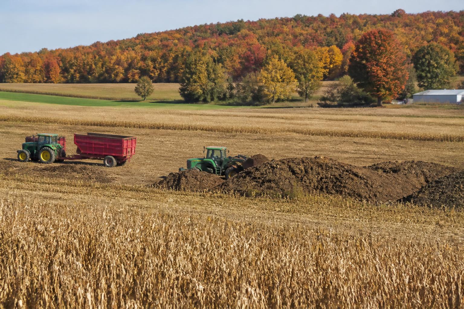 Connecticut Market Update: Navigating Seasonal Grain Shifts and Emerging Input Trends