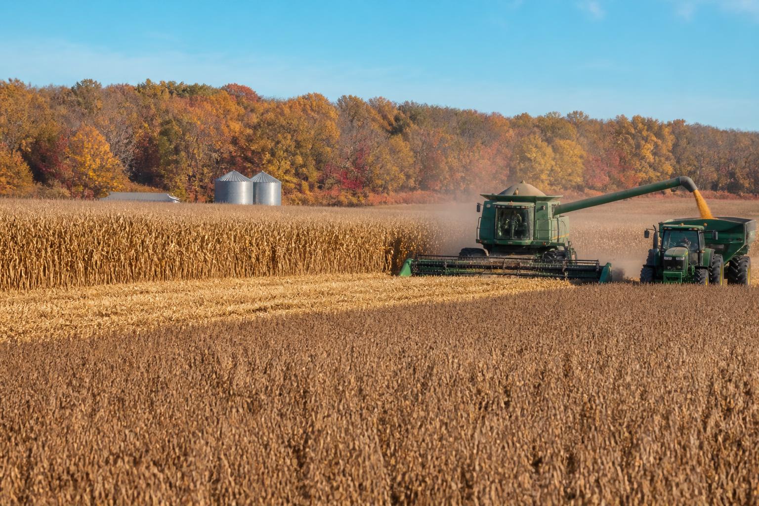 Navigating Fall Market Volatility: Delaware Grain Outlook - AgroPost