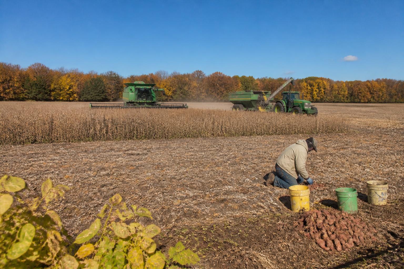 Louisiana Ag Landscape: Balancing Input Costs and Infrastructure Resilience - AgroPost