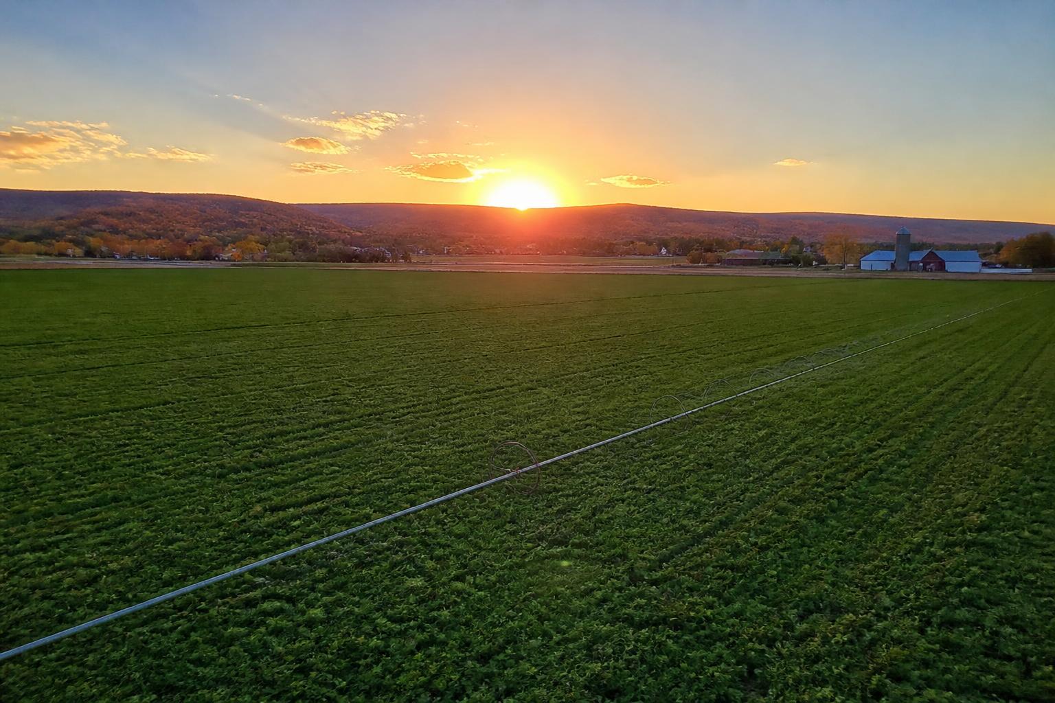Arizona Fertilizer Outlook: Managing Input Costs Amidst Regional Water and Operational Shifts - AgroPost