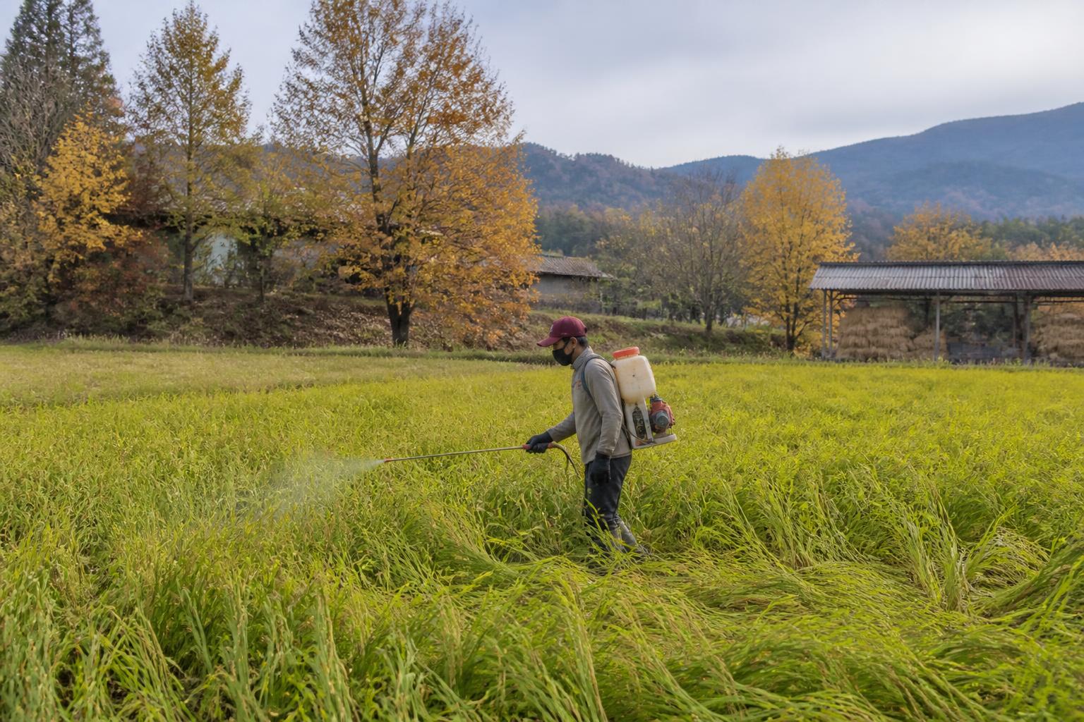 Managing Farm Input Protection in Nevada: A Season of Resource Efficiency