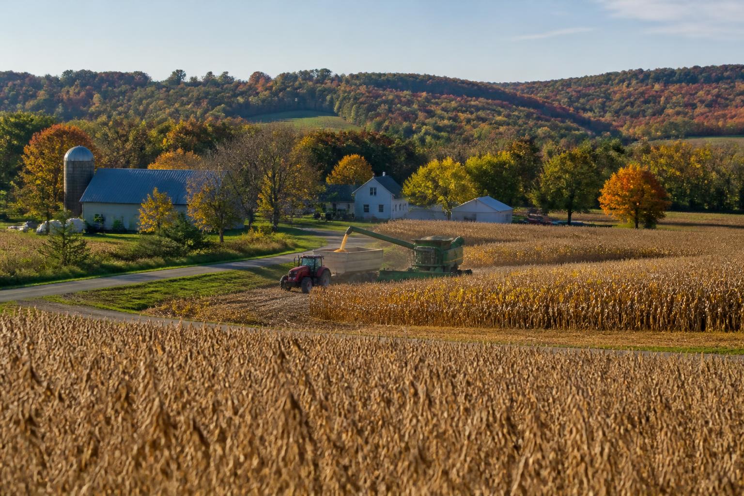 Wisconsin Agriculture: Balancing Harvest Logistics and Pollinator Protection - AgroPost