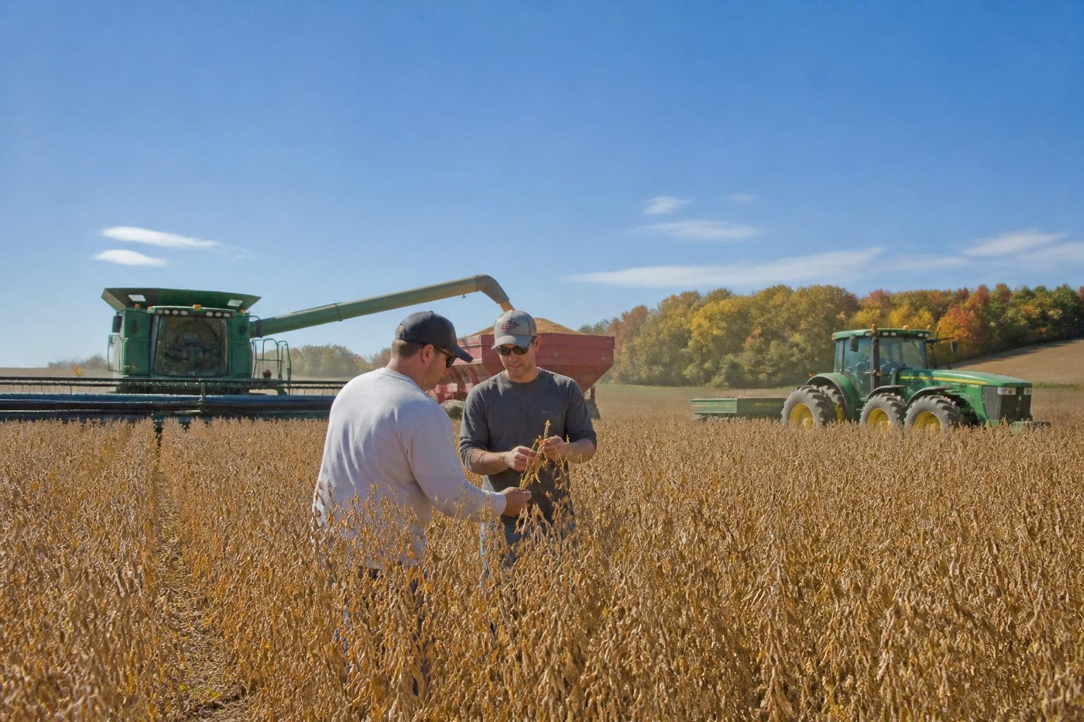 South Dakota Grain Logistics: Balancing Harvest Efficiency and Storage Realities - AgroPost