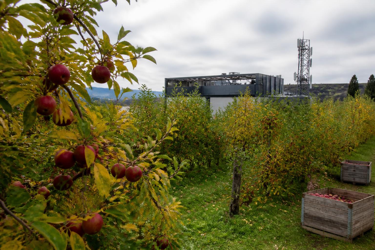 Washington Growers Navigate Evolving Logistics and Input Market Dynamics - AgroPost