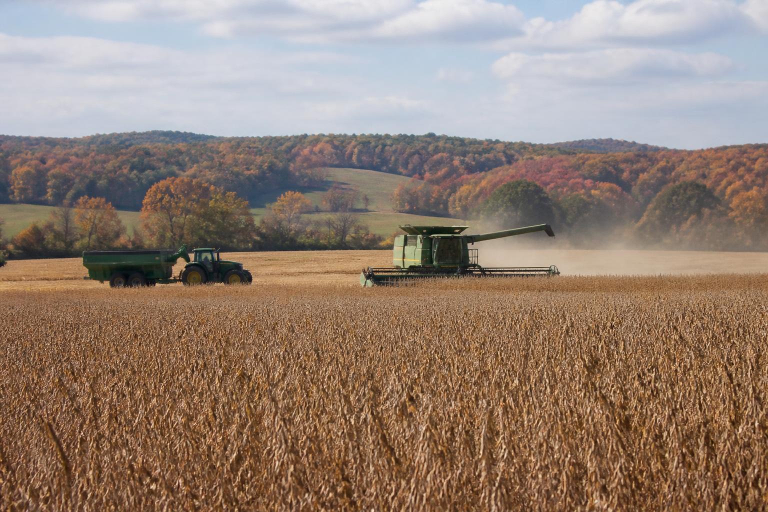 Managing Margin Volatility: A Strategic Look at Oklahoma Grain Markets - AgroPost