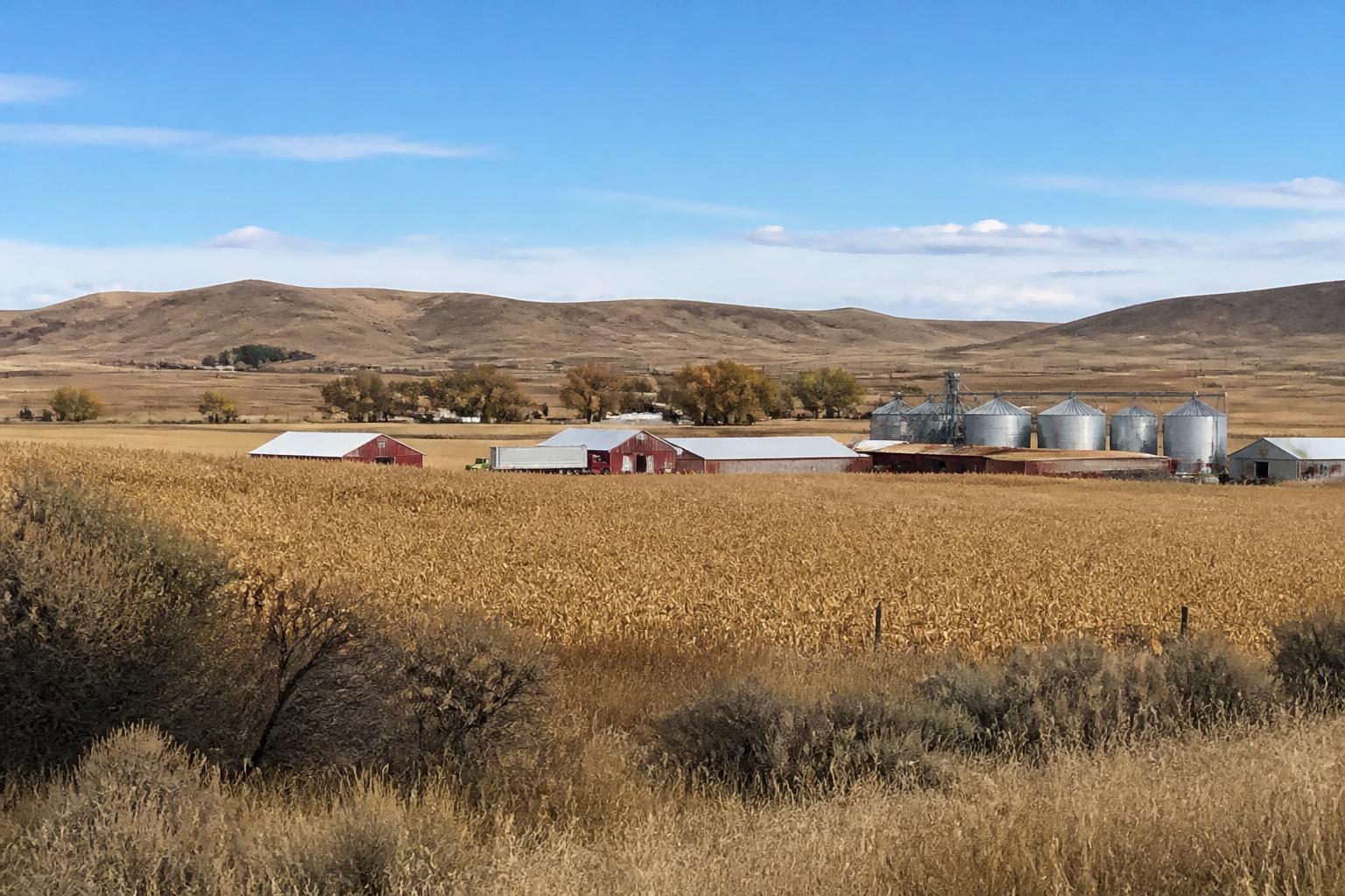 Wyoming Producers Face Operational Challenges Amidst Changing Seasonal Conditions - AgroPost