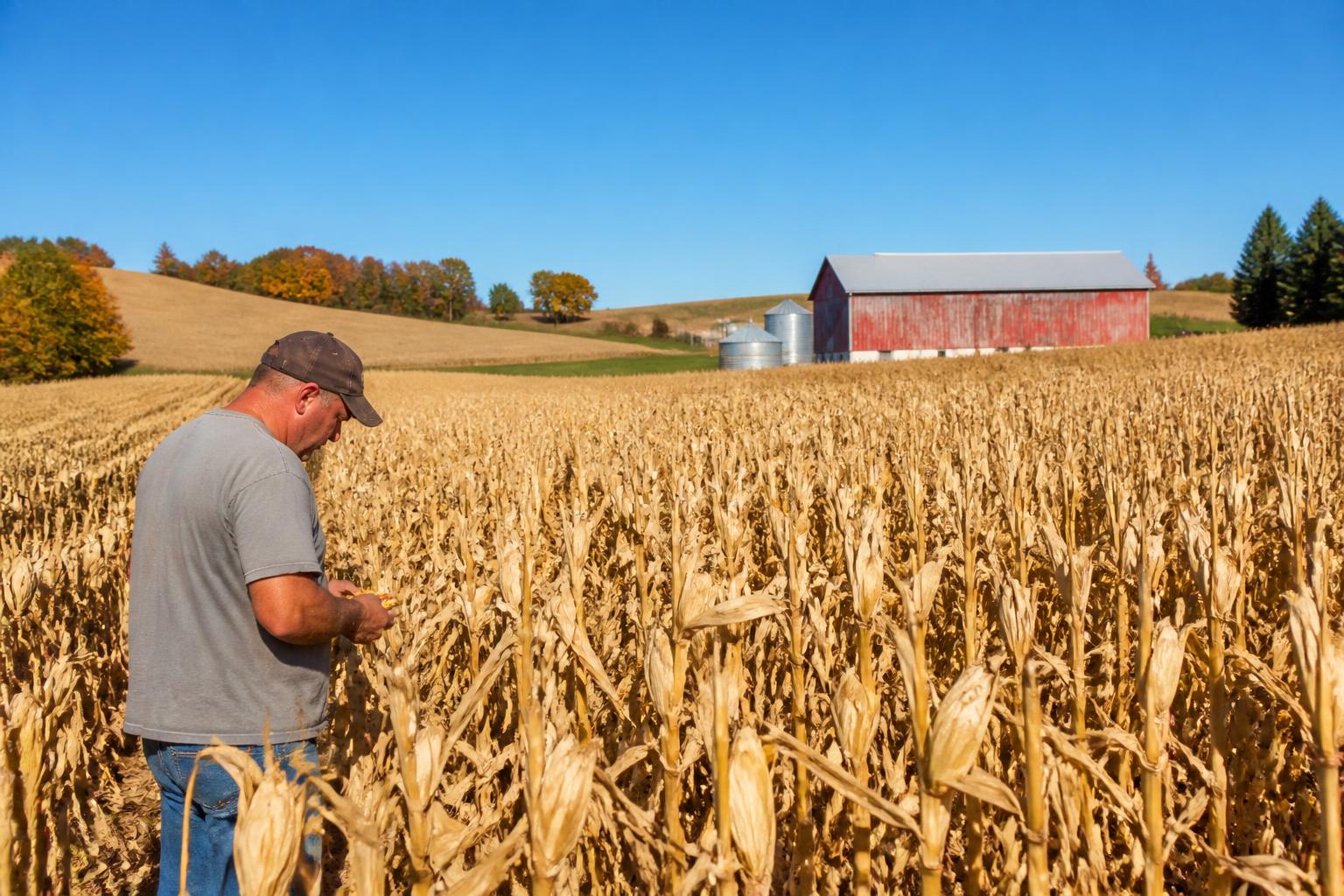 Illinois Fertilizer Outlook: Navigating Price Shifts and Supply Security - AgroPost
