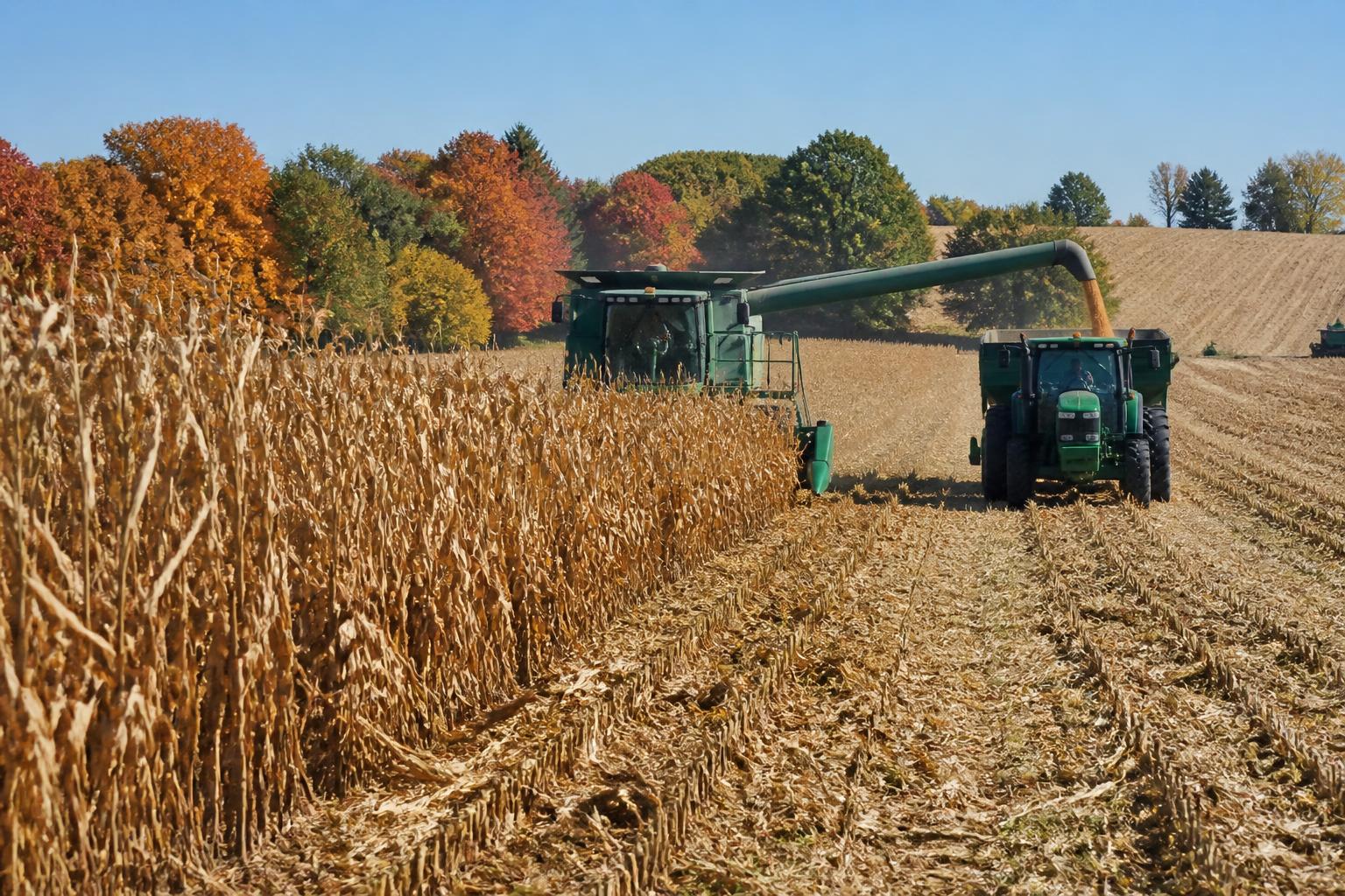 North Carolina Market Pulse: Managing Seasonal Harvest Logistics - AgroPost