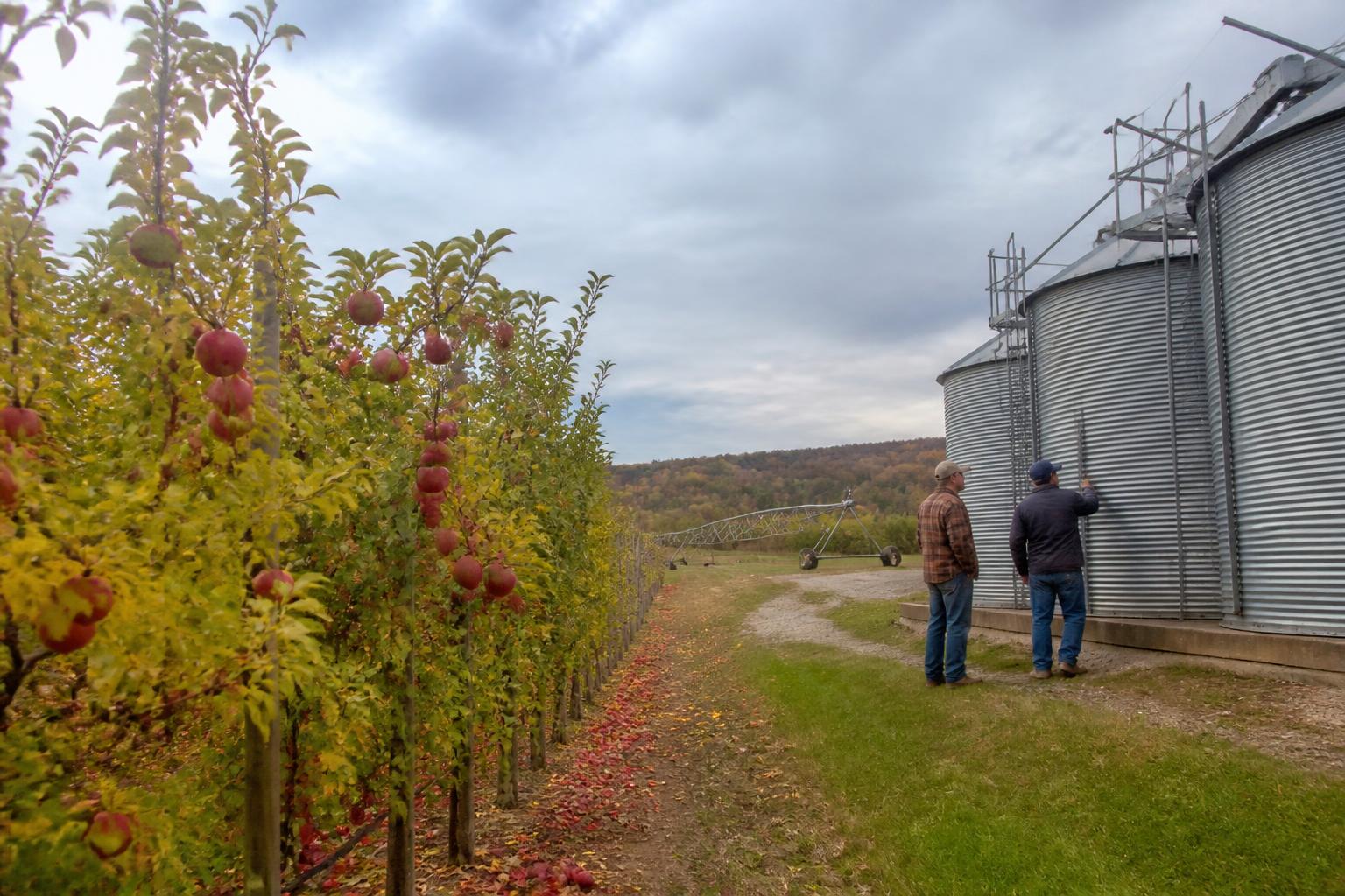 Managing Grain Storage Risks as Maine Harvest Hits Full Swing - AgroPost