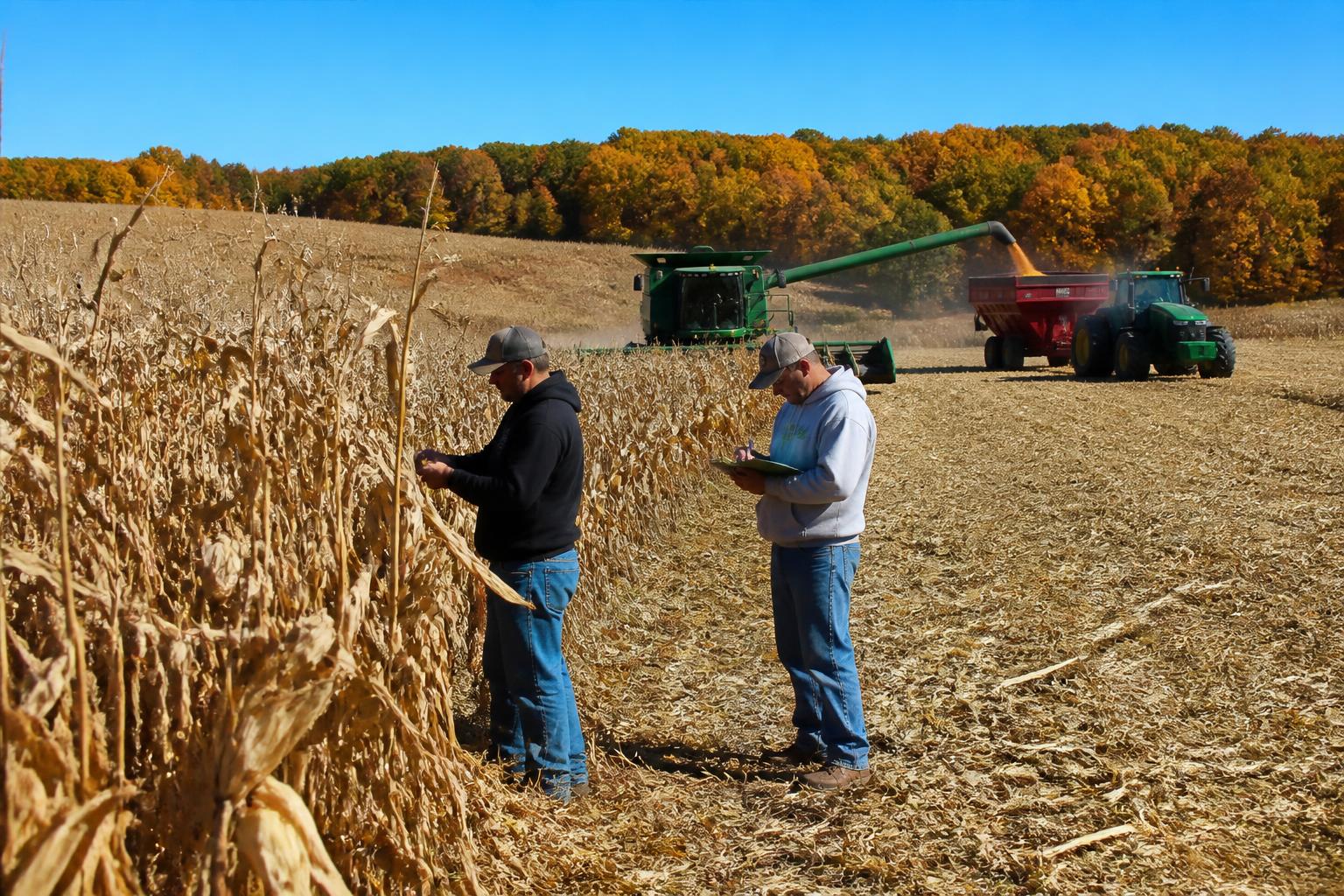 Iowa Grain Marketing: Navigating Shifting Demand and Policy Headwinds - AgroPost
