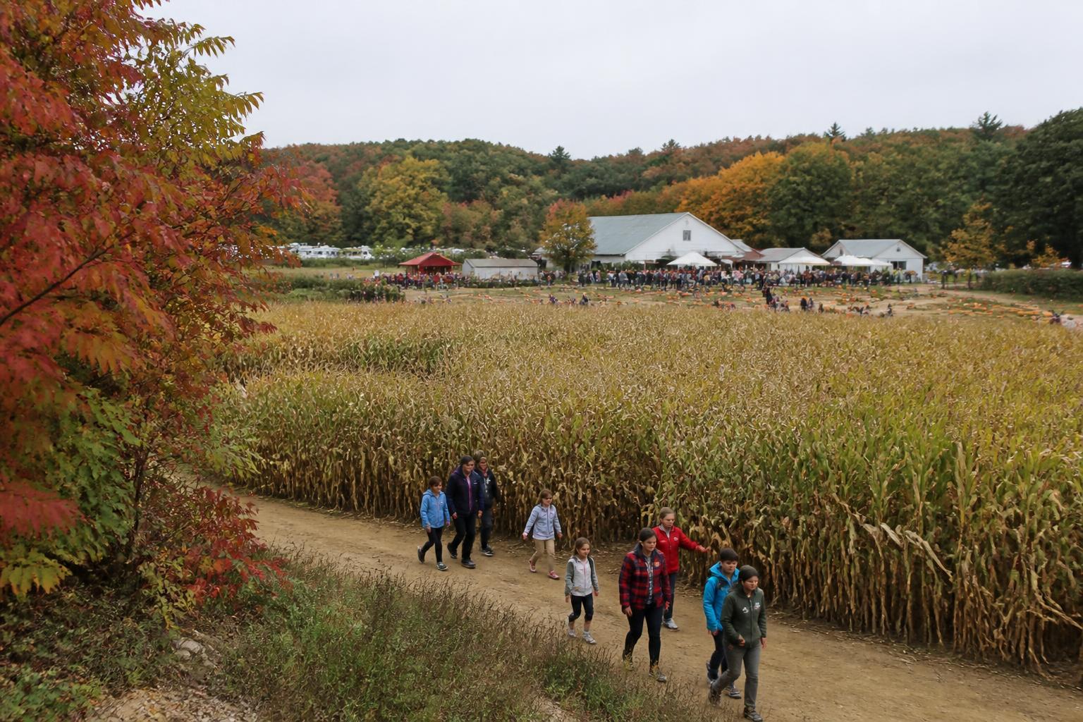 Rhode Island Fertilizer Management Amidst Evolving Environmental Standards - AgroPost