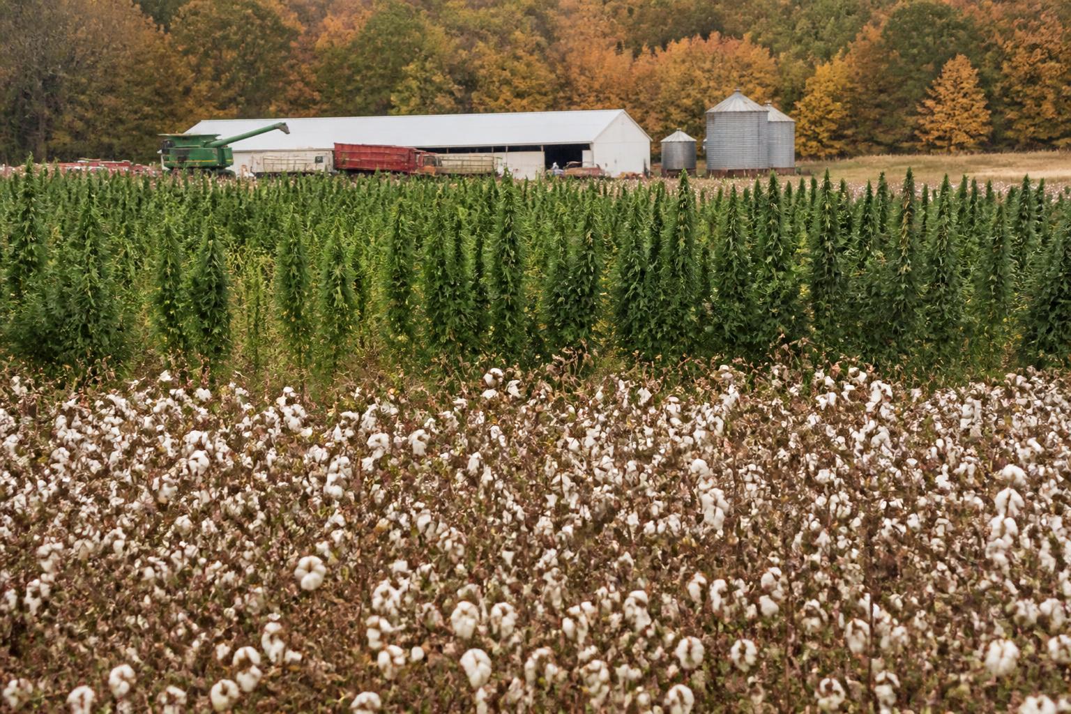 North Carolina Logistics: Preparing for Peak Harvest Transit - AgroPost