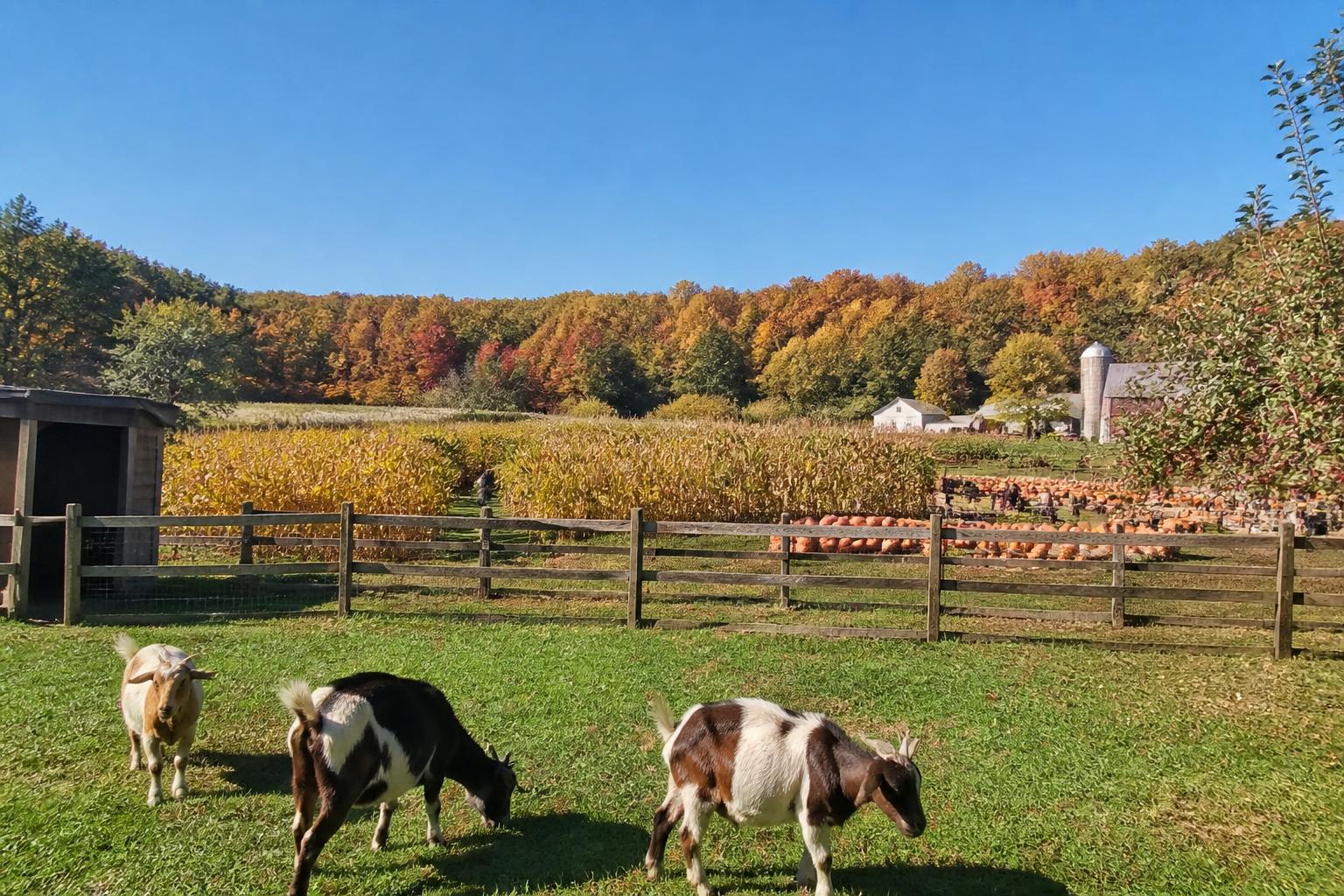 New Jersey Agribusiness Brief: Addressing Drought Challenges and Resource Protection - AgroPost
