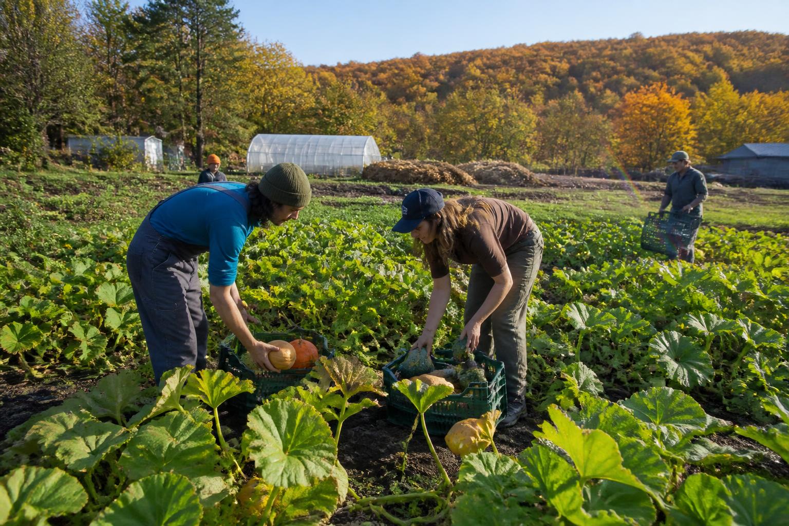 Washington Growers Face Shifting Regulatory and Market Landscapes - AgroPost