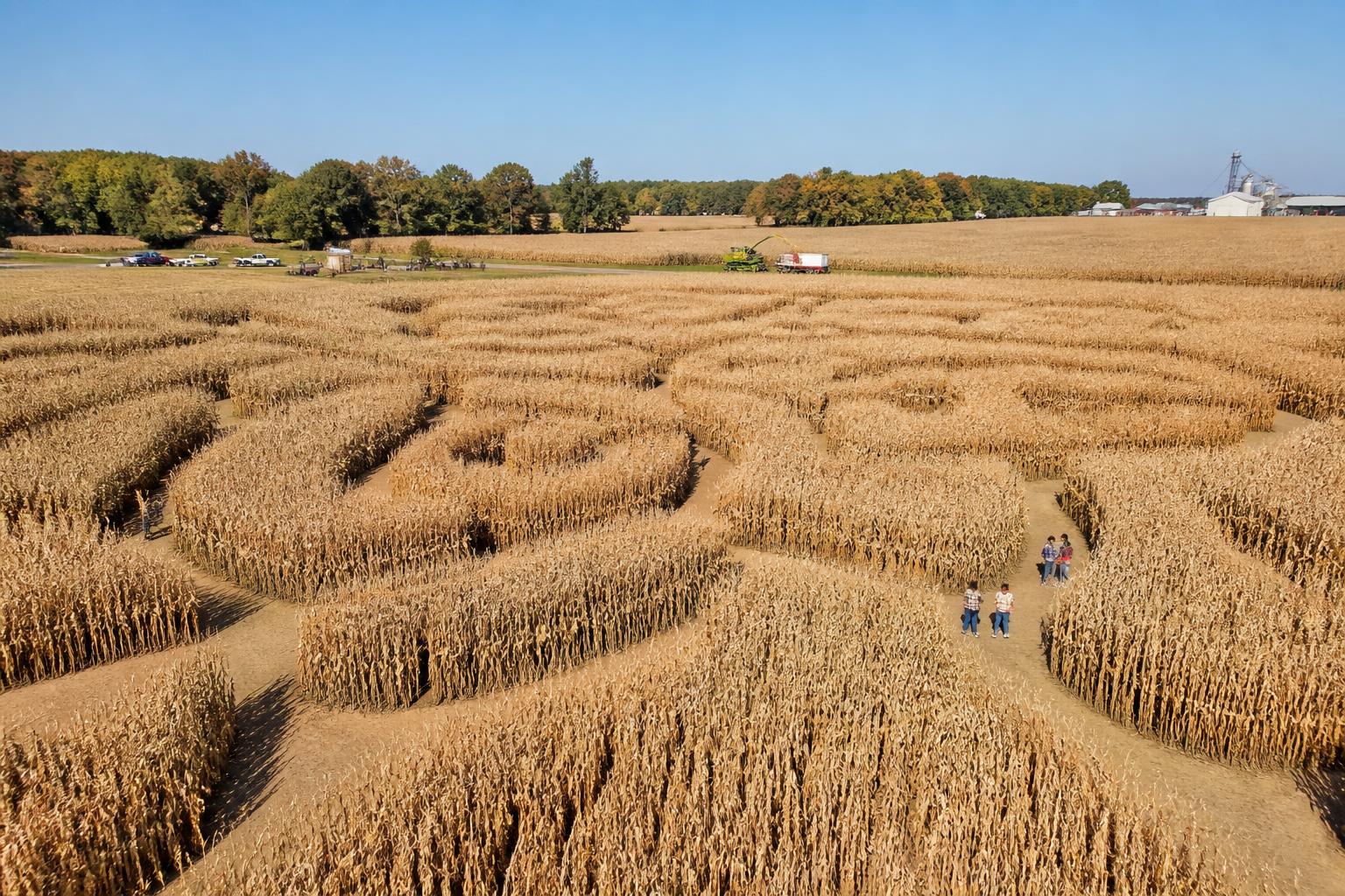 Utah Grain Producers Monitor Harvest Logistics and Seasonal Shifts - AgroPost