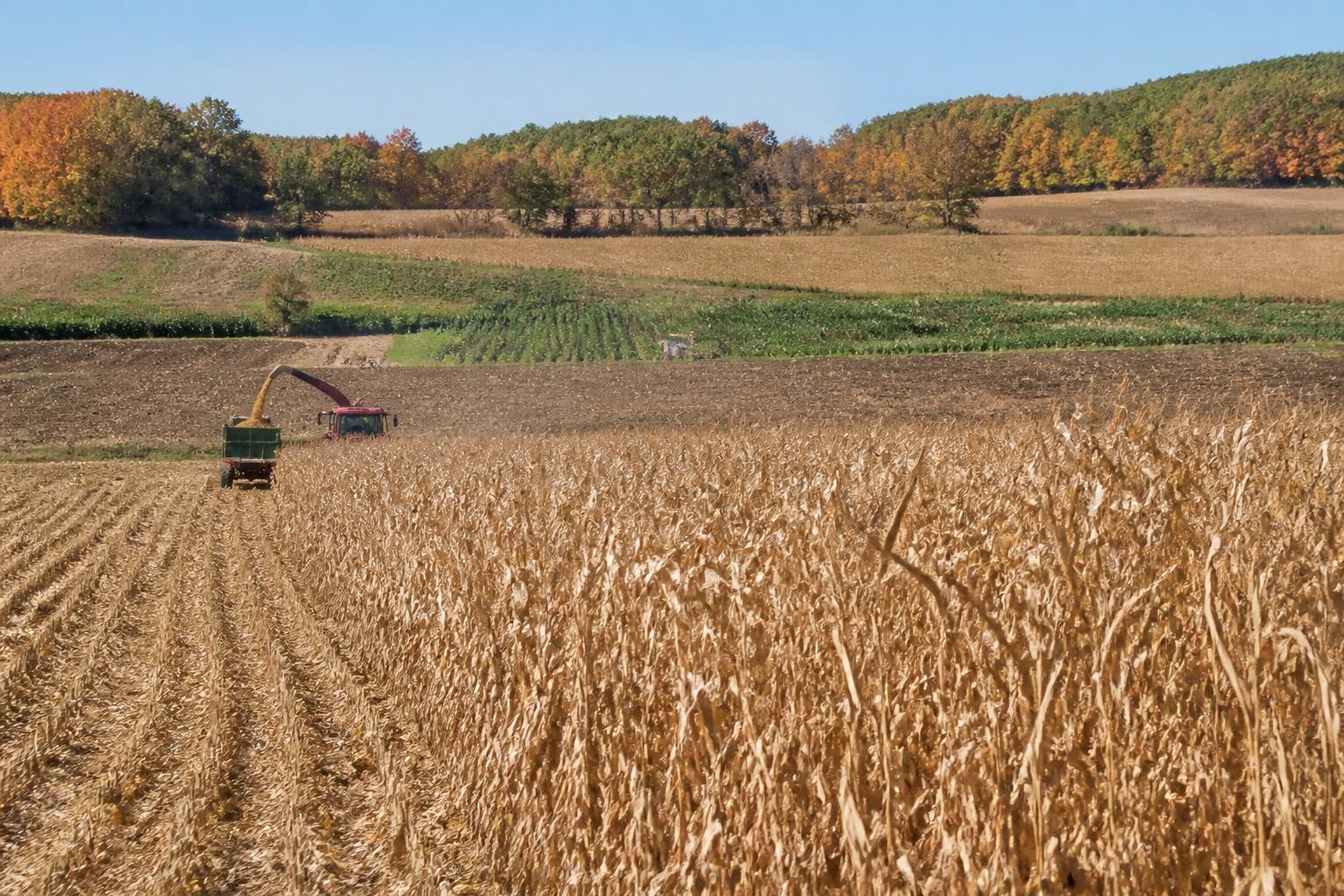 Missouri Harvest Progress Amid Policy Uncertainty - AgroPost