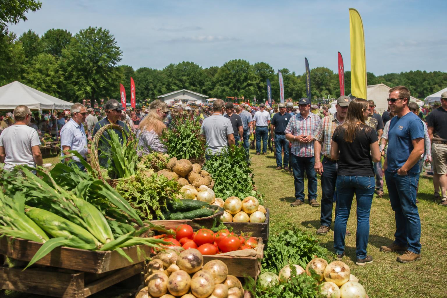 New York Ag Market: Integrating Upstate Production with Downstate Climate Goals