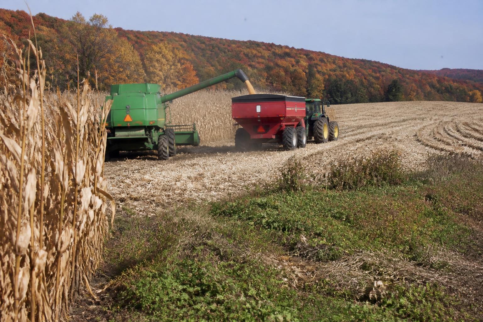 Virginia Logistics Update: Managing Export Flow and Cold Chain Capacity - AgroPost