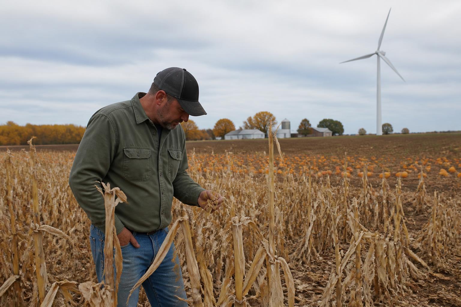Minnesota Fertilizer Outlook: Green Ammonia Initiatives Aim to Ease Input Volatility - AgroPost