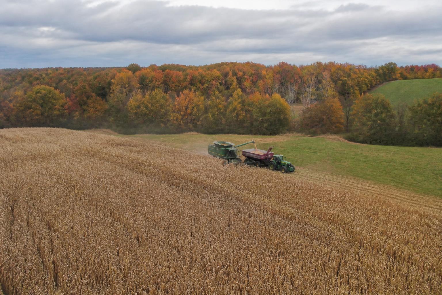 Monitoring Harvest Disruptions and Pest Pressures in Hawaii - AgroPost