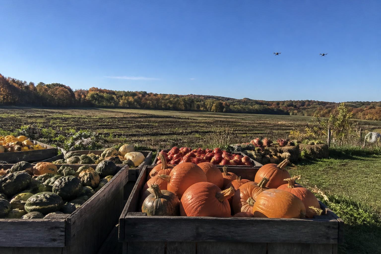 Connecticut Logistics and Market Shifts: Navigating Fall Transit Patterns - AgroPost