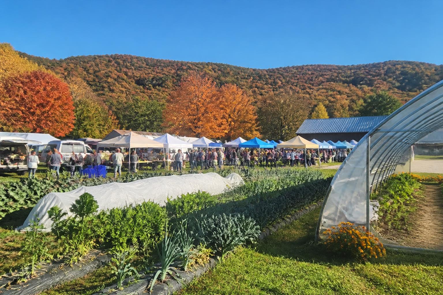West Virginia Market Update: Sustained Poultry Growth and Production Strategies - AgroPost