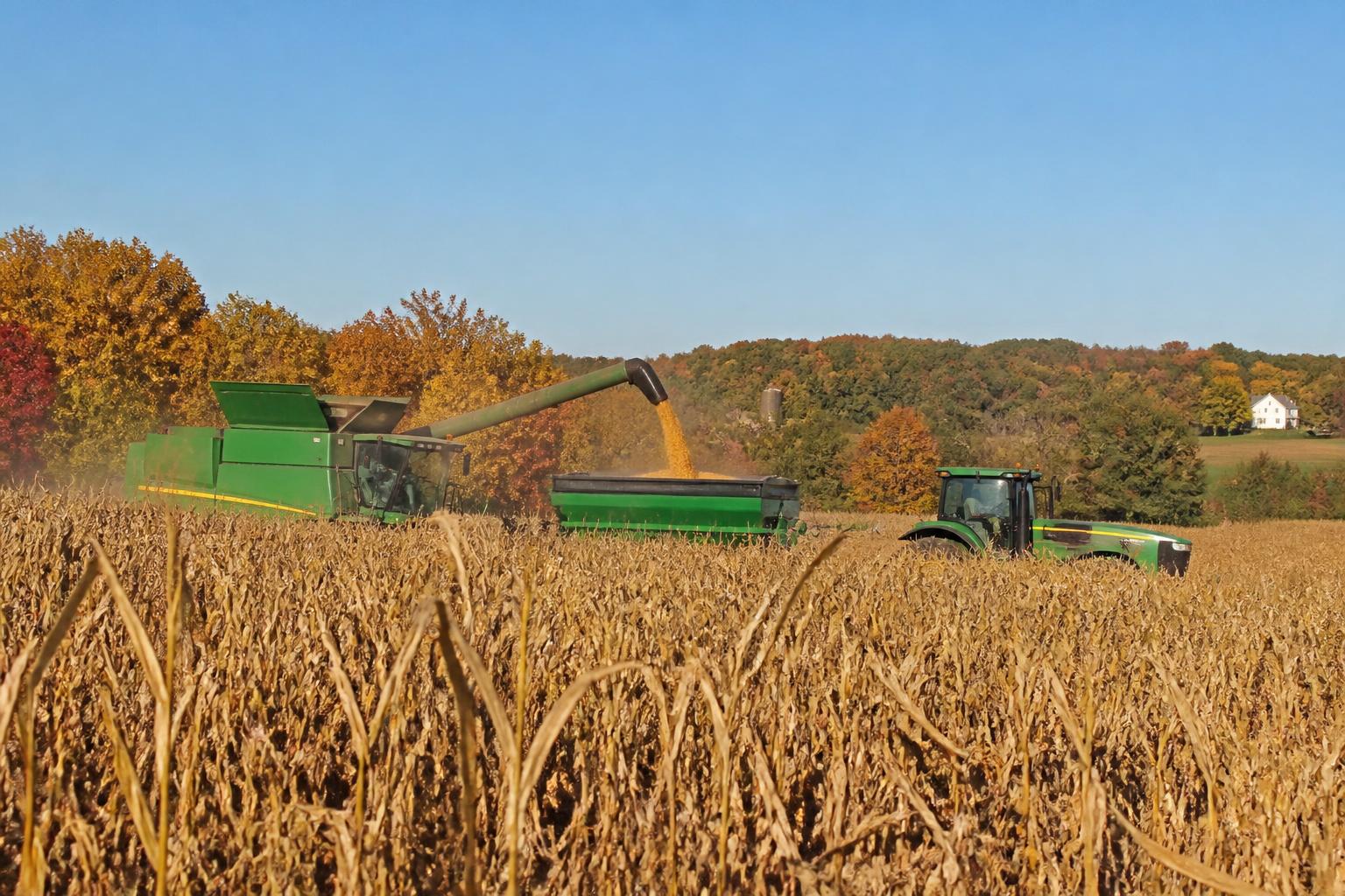 Fall Market Efficiency: Managing Grain Storage and Logistics in Massachusetts - AgroPost