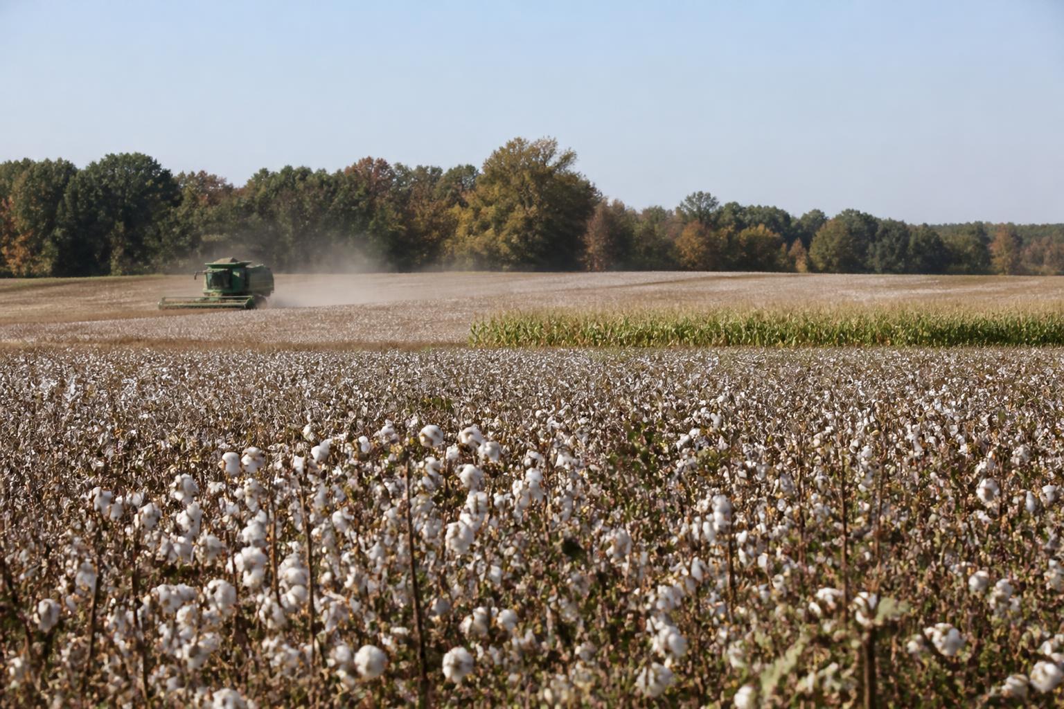 Louisiana Ag Fuel Relief and Seasonal Logistics Update - AgroPost